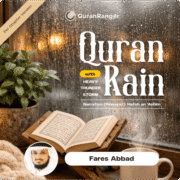 Quran with Heavy Rain - Fares Abbad (Per Chapter) - Image 2
